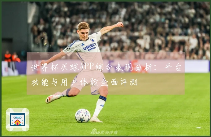 世界杯买球APP综合表现分析：平台功能与用户体验全面评测