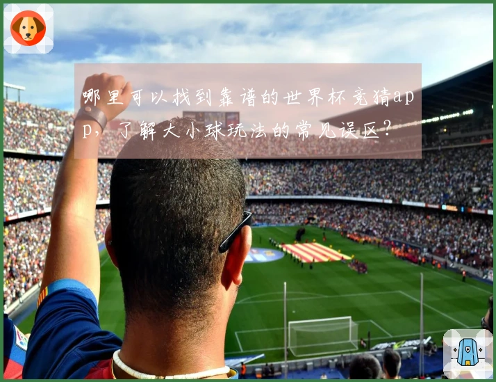 哪里可以找到靠谱的世界杯竞猜app，了解大小球玩法的常见误区？