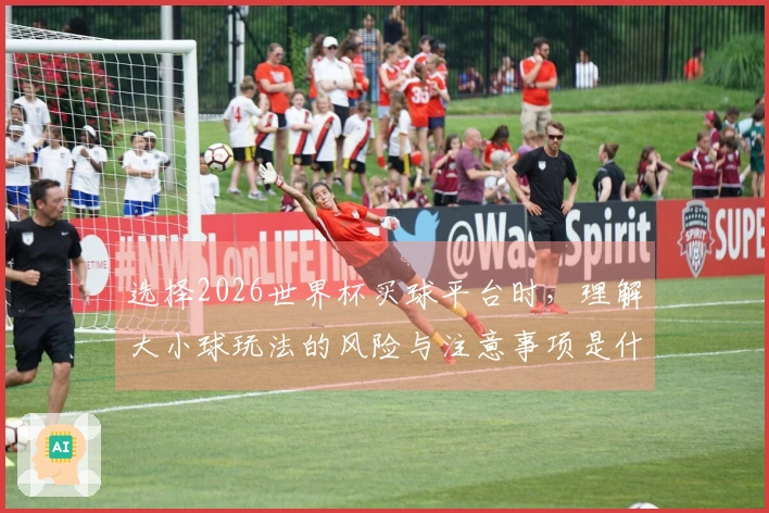选择2026世界杯买球平台时，理解大小球玩法的风险与注意事项是什么？