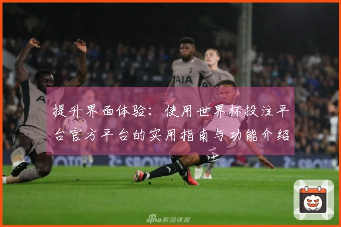 提升界面体验：使用世界杯投注平台官方平台的实用指南与功能介绍