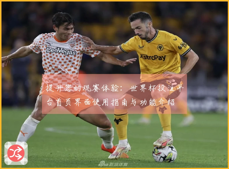 提升您的观赛体验：世界杯投注平台首页界面使用指南与功能介绍