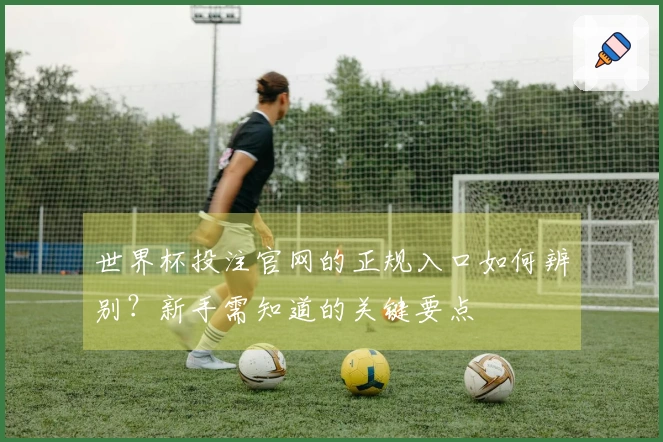 世界杯投注官网的正规入口如何辨别？新手需知道的关键要点
