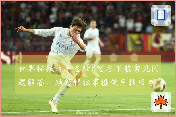 世界杯投注平台APP官方下载常见问题解答，助您轻松掌握使用技巧与平台功能