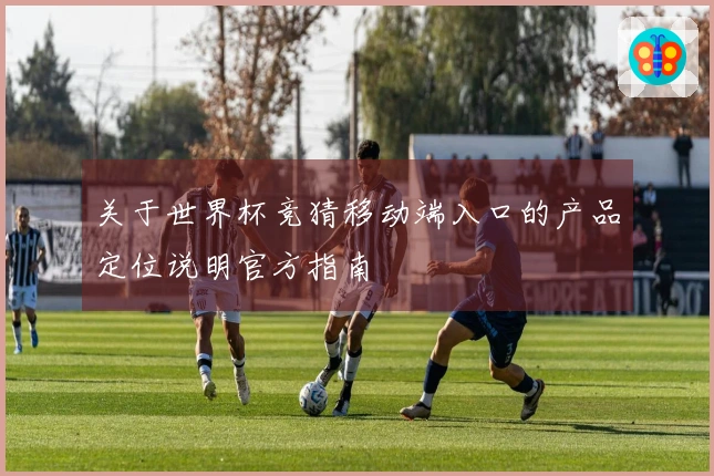 关于世界杯竞猜移动端入口的产品定位说明官方指南