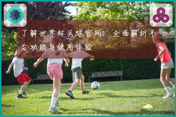 了解世界杯买球官网：全面解析平台功能与使用体验