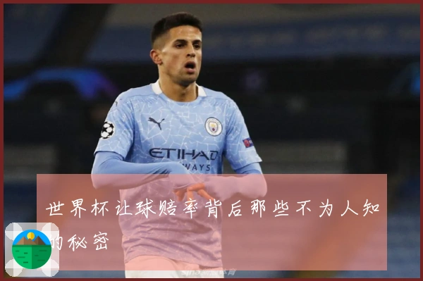 世界杯让球赔率背后那些不为人知的秘密