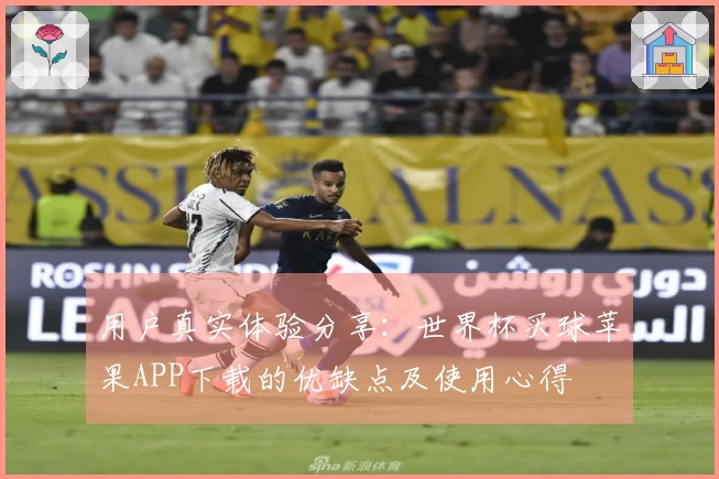用户真实体验分享：世界杯买球苹果APP下载的优缺点及使用心得