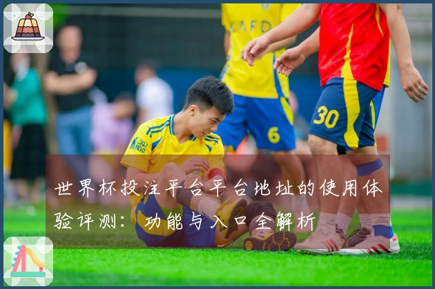 世界杯投注平台平台地址的使用体验评测：功能与入口全解析