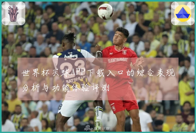 世界杯买球APP下载入口的综合表现分析与功能体验评测