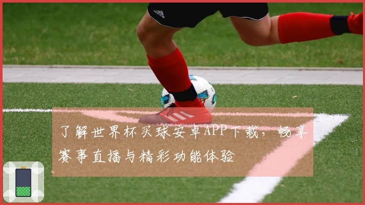 了解世界杯买球安卓APP下载，畅享赛事直播与精彩功能体验