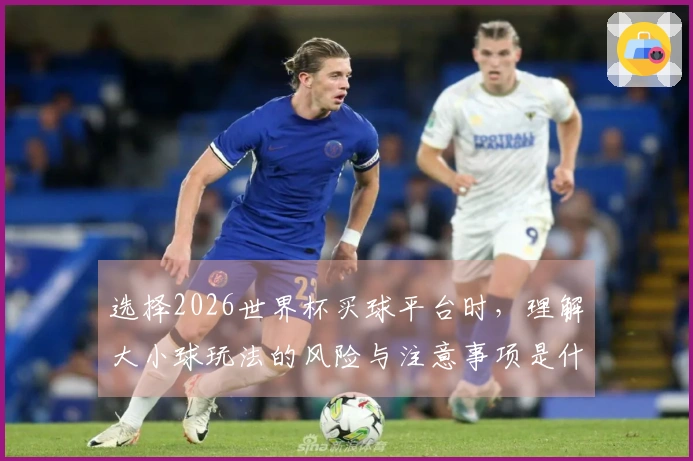 选择2026世界杯买球平台时，理解大小球玩法的风险与注意事项是什么？