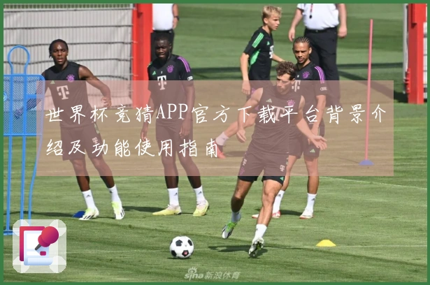 世界杯竞猜APP官方下载平台背景介绍及功能使用指南