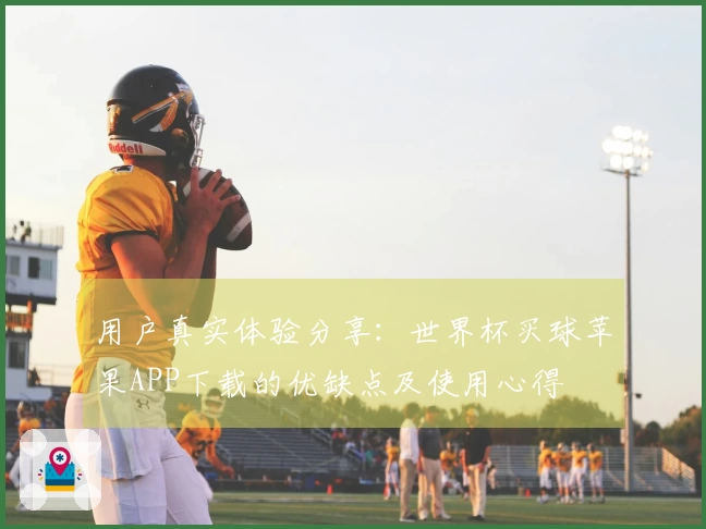 用户真实体验分享:世界杯买球苹果APP下载的优缺点及使用心得